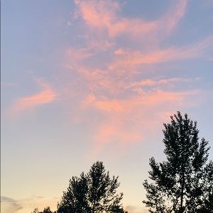 Meet your Posher, Paige